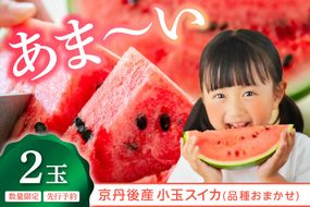 【先行予約】朝どれ小玉スイカ／みんな大好き！甘～ぃ！シャリ美味！！京丹後産 小玉スイカ！！2玉（ひとりじめ、姫甘泉、ひめまくら、砂丘たまごから1種類）（2026年7月上旬～発送）スイカ2玉　YK00533