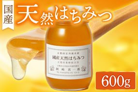 国産天然はちみつ 600g　AM00561