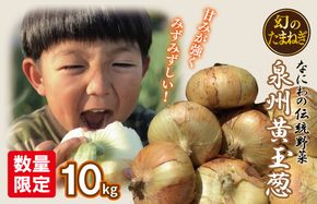 010B259 【先行予約】 数量限定 幻のたまねぎ 泉州黄玉ねぎ 10kg【新鮮 野菜 泉佐野産 茄子 やさい 高評価 数量限定】
