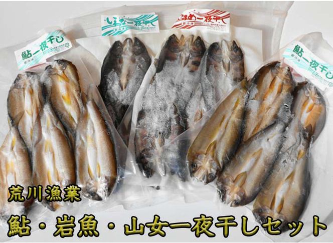 荒川漁業　鮎・岩魚・山女一夜干しセット◇ ≪海鮮 魚介 おつまみ 贈り物 プレゼント ギフト 送料無料≫ ※着日指定不可◇