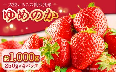 【2025年1月〜発送】いちご ゆめのか 250g × 4パック / イチゴ 苺 果物 フルーツ / 南島原市 / JA島原雲仙東南部基幹センター [SAC008]