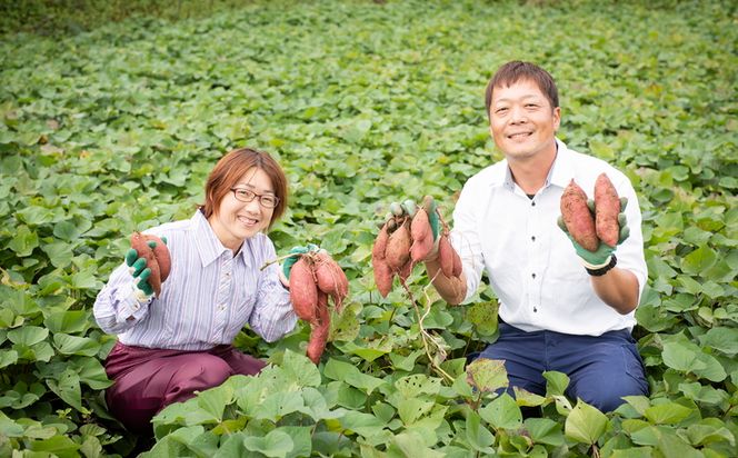 【先行受付】高糖度で人気定番！安納芋5kg ｜ さつまいも サツマイモ 焼き芋 やきいも 産地直送 スイート　※2024年10月中旬～2025年3月中旬頃まで順次発送予定