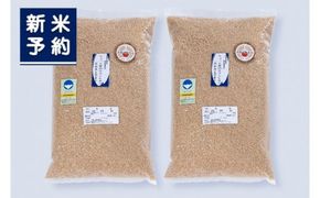 【新米受付・令和7年産米】新潟岩船産 特別栽培 コシヒカリ 玄米 5kg×2袋 NB4125｜ちょっと贅沢なコシヒカリ 農家直送 お米 一等米 健康志向 食物繊維 飴色玄米 真空 食味鑑定士
