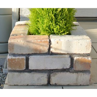 モルタルＭＯＲＳＣＨＥ【１．５ｋｇ】（ピンク）２袋　hs002