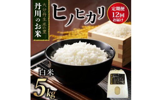 【B01024】【定期便】丹生米の里 丹川のお米 ヒノヒカリ白米 5kg×12回お届け定期便