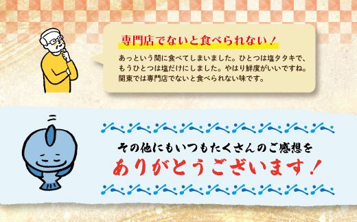 【年内配送】24-538N．中村でしか食べられない中村伝統の味「カツオの塩タタキセット」冷凍便