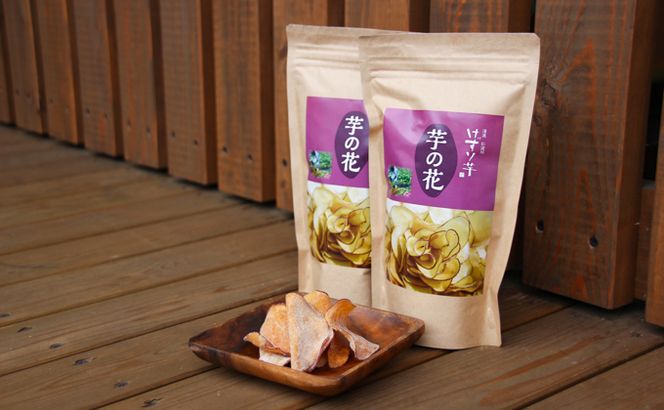 利休　生けんぴとチャイのコラボセット