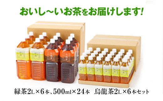 【定期便】トライアルのお茶満載セット（緑茶2L×6本・烏龍茶2L×6本・緑茶500ml×24本）を2か月に1回、合計3回お届け