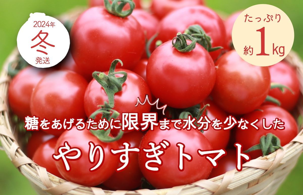 [先行予約]やりすぎトマト(4パック計約1kg)(冬季)(2025年12月上旬以降発送)