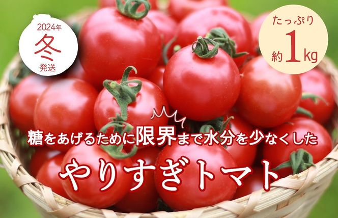 ys{Oszys\z肷g}gi4pbNv1kgji~Gji2025N12{ȍ~j DE00133