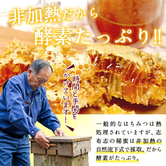 日本みつばちの純粋蜂蜜＜志布志の秘蜜＞計560g(280g×2本) b2-003