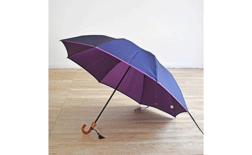 yRsszBL013yʌzˁ@܂肽ݎP@55cm@8{(lCr[×p[v