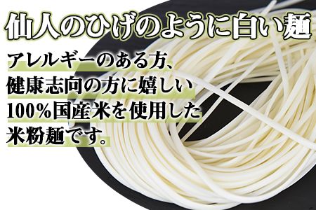 ＜高鍋の米粉麺「米仙人」 120g×10玉＞翌月末迄に順次出荷します【c893_tr_x2】