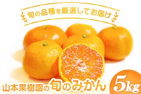 山本果樹園の旬のみかん 5kg 山本果樹園《９月中旬-2月末頃出荷予定》蜜柑 柑橘 ひのあかり 日南 豊福　肥後早生 青島 旬の品種をお届け！フルーツ 果物---sh_ymmtmkn_bc92_24_10000_5kg---