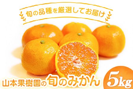 山本果樹園の旬のみかん 5kg 山本果樹園《９月中旬-2月末頃出荷予定》蜜柑 柑橘 ひのあかり 日南 豊福　肥後早生 青島 旬の品種をお届け！フルーツ 果物---sh_ymmtmkn_bc92_24_10000_5kg---