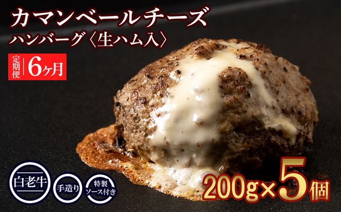 定期便6ヵ月 お楽しみ 北海道産 白老牛 カマンベールチーズハンバーグ 5個セット 冷凍 チーズ イン ハンバーグ BY113