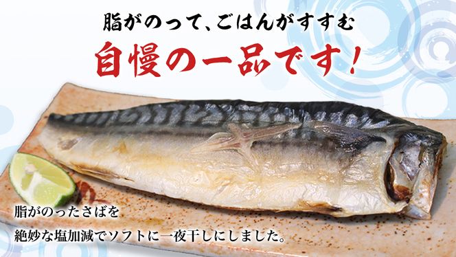 大トロ さば文化 干し 1枚真空 6パック ( 茨城県共通返礼品 :神栖市 ) 海鮮 鯖 切り身 切身 さば サバ 干物 真空パック 真空包装 化粧箱 冷凍 ノルウェーさば [EO001us]