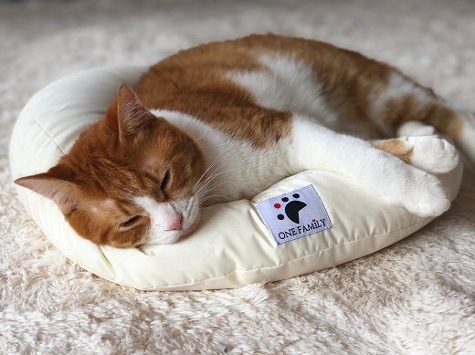 【たっぷり!!リアルダウン使用】円形タイプ ペット用 羽毛クッションセット ペットベッド 犬や猫が大好き!! H162-032