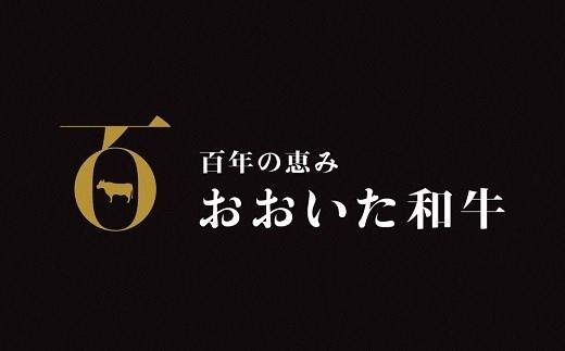 F-03A 「おおいた和牛」サーロインステーキ（180g×２枚）×2セット