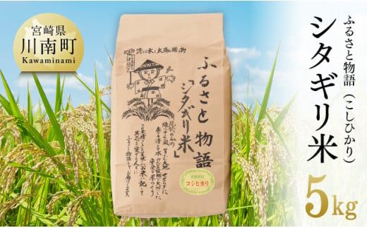 [令和6年産] 宮崎県産こしひかり「シタギリ米」5kg [米 お米 白米 精米 国産 宮崎県産 こしひかり おにぎり]☆ [D04201]