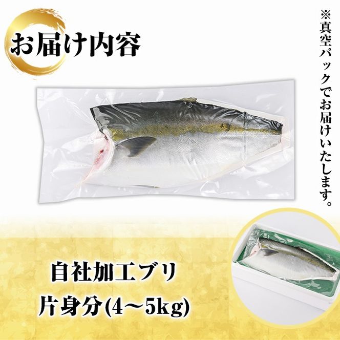 鮮度抜群！自社加工ブリ(片身分・4～5kg) ブリ 鰤 魚貝 魚介 海産物 刺身 焼き魚 煮つけ 真空パック【さるがく水産】a-32-6