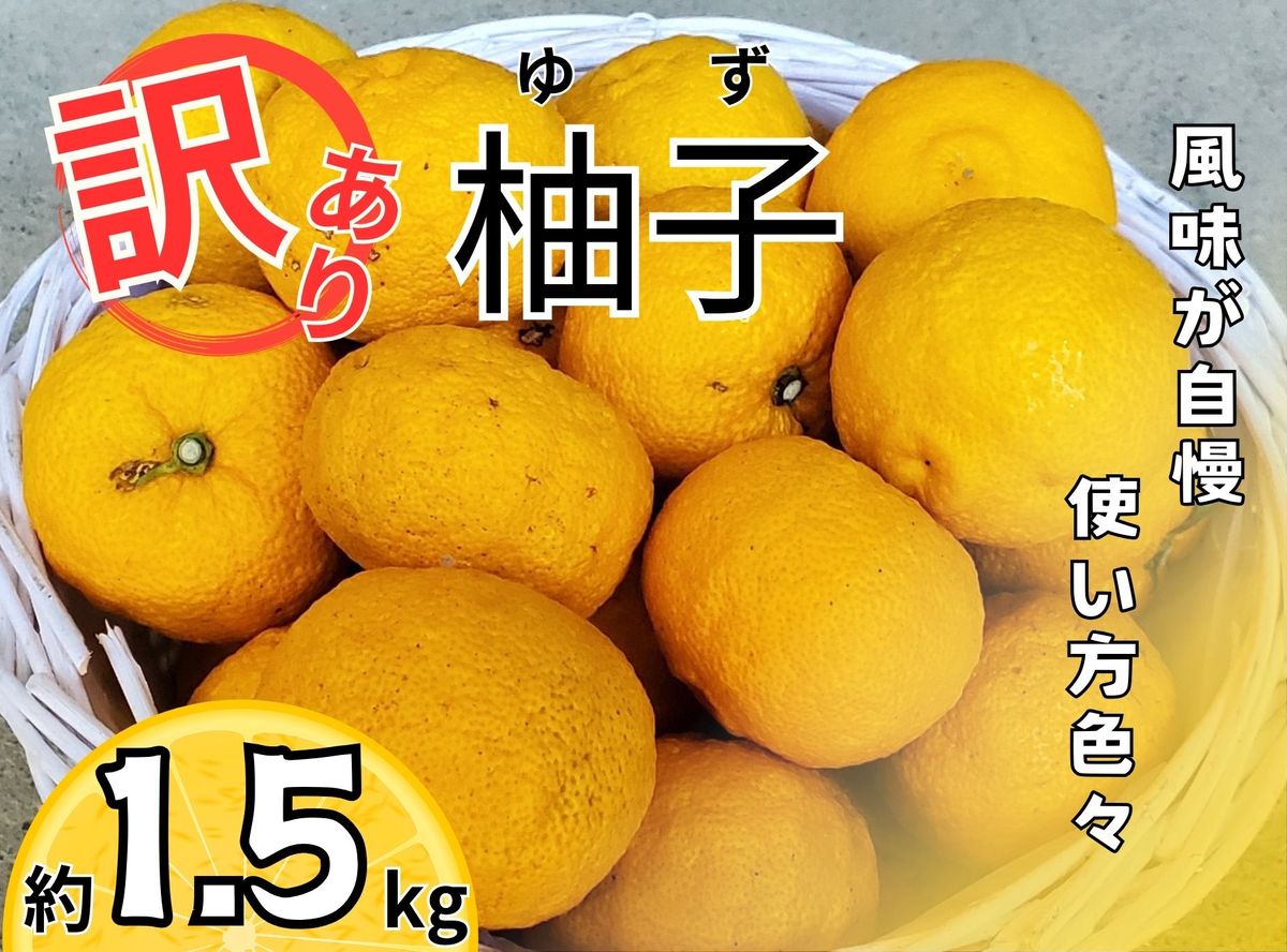 [CF]訳あり柚子(約1.5kg) [11月中旬-12月中旬頃発送][配送不可地域あり]※離島 ---sanagouchi_lcl_19_1500g---