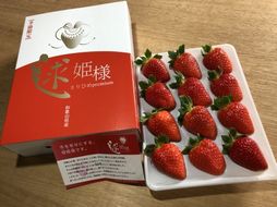 155.季節限定 まりひめプレミアム「毬姫様」(A155-2)