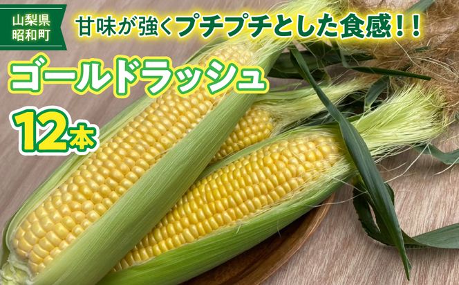 yRaz2026N auhƂ낱uGOLDbVv SWBN002