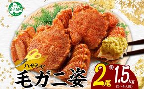 3336. 毛蟹 2尾 計1.5kg前後 食べ方ガイド・専用ハサミ付 カニ かに 蟹 海鮮 ボイル 送料無料 北海道 弟子屈町