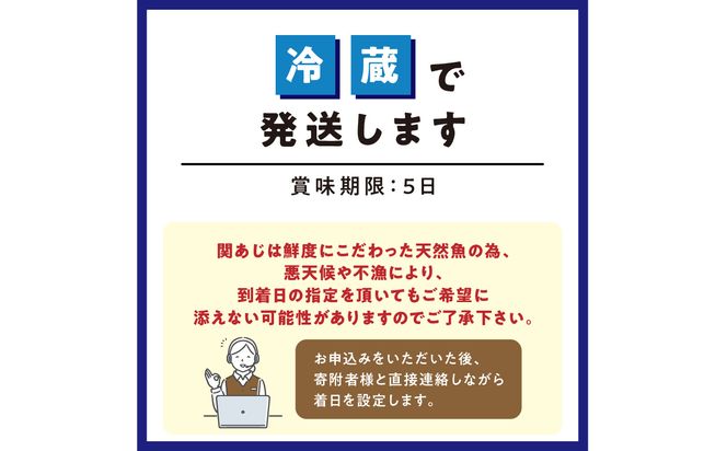 【E04023】関あじ（鮮魚セット）2尾