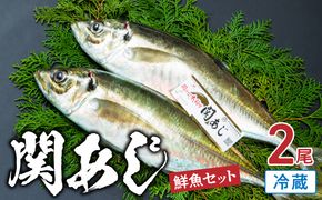 【E04023】関あじ（鮮魚セット）2尾