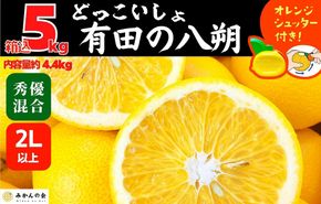 八朔 (はっさく) とにかく 大玉 どっこいしょ 箱込 5kg (内容量約 4.4kg) 秀品 優品 混合 2Lサイズ以上 和歌山県産  産地直送［おまけ付き］［みかんの会］ 	AX231