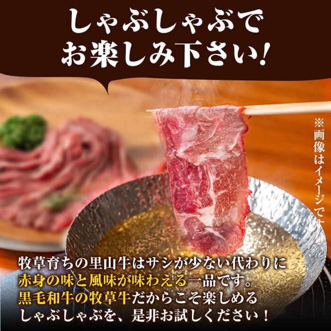 国産黒毛和牛 牧草育ちの里山牛 しゃぶしゃぶ用ロース 計800g(200g×4P) c5-029