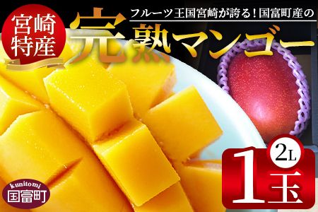 ＜宮崎特産！国富町産の完熟マンゴー 1玉（2L）＞2026年3月下旬～6月下旬迄に順次出荷【a0592_as】