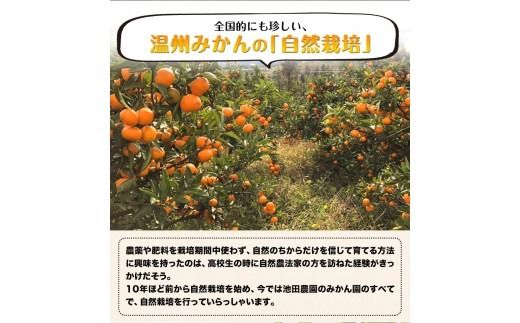 【ふるさと納税】『池田農園』の青みかんパウダー 30g ×2袋熊本県玉名郡玉東町『池田農園』《30日以内に出荷予定(土日祝除く)》---sg_ikedap_30d_23_11000_30gx2---