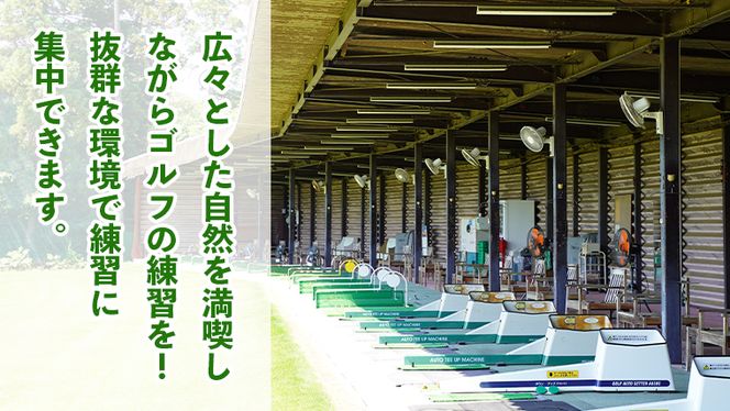ゴルフ練習場回数券 23回券（1150球） メンバー用 イベントやチケット ゴルフ場利用券 打ちっぱなし 回数券 アウトドア メンバー [CD003ya]