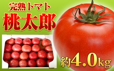 【JA職員厳選】【完熟！】平林トマト 約4.0㎏  トマト 大容量 産地直送 桃太郎 ももたろう