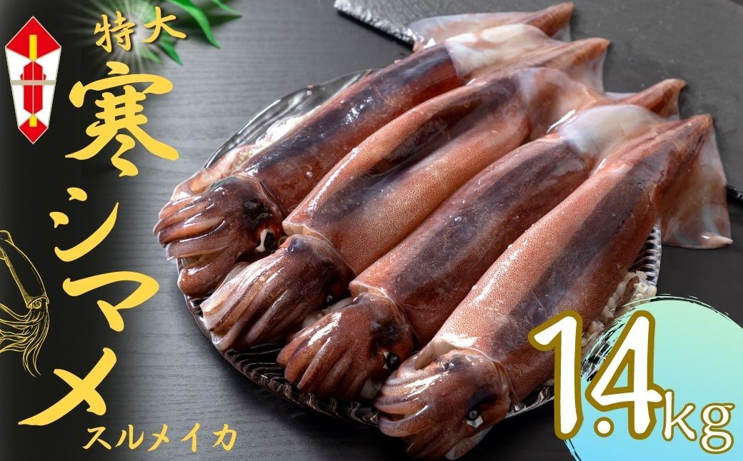 [のし付き]今が旬!朝どれ寒シマメ特大サイズ(350-400g)丸ごと4杯セット