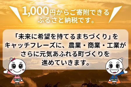 ＜寄附のみの応援受付(返礼品はございません)＞寄附額1,000円【 応援 寄附 未来 地域支援 おすすめ 1000円 国富町 宮崎県国富町 】【a0039_ku】 