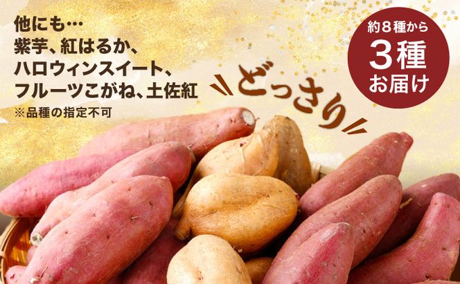 さつまいも ３種類 合計3kg 食べ比べ セット 詰め合わせ (金時さつまいも・紅はるか・シルクスイート・紫芋・フルーツこがね・ハロウィンスイート・土佐紅・紅まさりよりお届け) サツマイモ さつま芋 焼き芋 やきいも 6000円 野菜 故郷納税 rk008