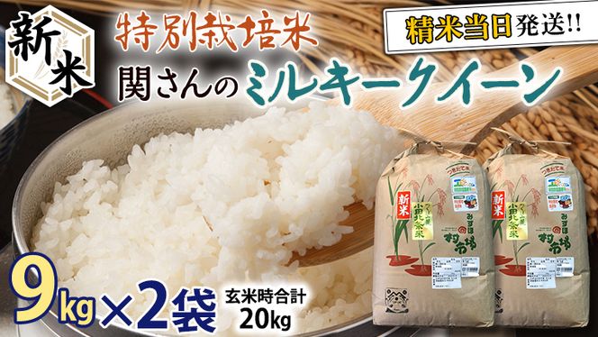 玄米20kg（10kg×2）令和５年産新米 ミルキークイーン　精米・分搗き米対応