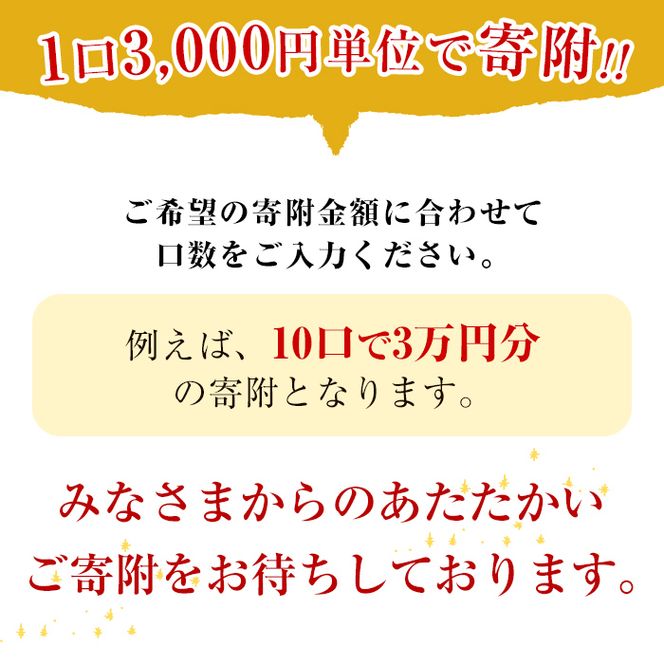 【0034601a】＜返礼品なし＞鹿児島県本土でいちばん小さな町「東串良町」への寄附(1口：3,000円)