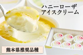 ハニーローザアイスクリーム 120ml×8個《30日以内に出荷予定（土日祝除く）》熊本県 玉東町 ぷらっとぎょくとう ハニーローザ アイスクリーム すもも スイーツ お菓子---sg_fhoneyrosa_30d_24_14000_960ml---