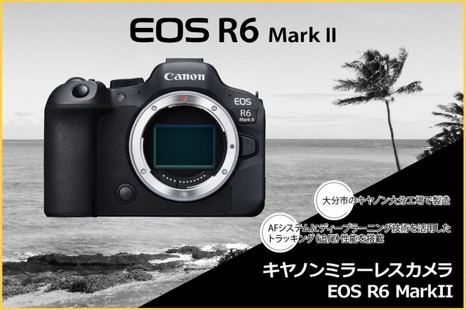 【R14152】キヤノンミラーレスカメラ EOS R6 Mark Ⅱ・RF24-105 L IS USM レンズキット