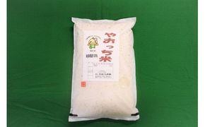 196.【令和6年産米】岐阜県産オリジナルブレンド米「やおっち米」5kg　