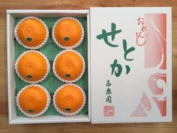 化粧箱 柑橘の大トロ ハウス せとか 厳選 大玉 6玉入   BS102