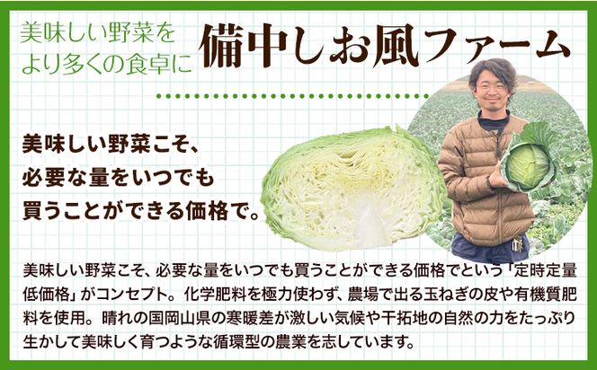 しお風キャベツ 約10kg ( 4～6玉 )《1月中旬-3月末頃出荷予定》キャベツ 野菜 青果物 岡山県 笠岡市---223_731_1c3m_23_8000_10kg---