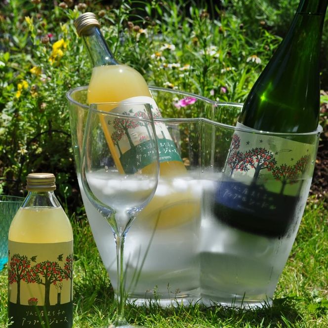 【６本セット】大船渡で造るワイン赤白 アップルシードル アップルワイン アップルジュース  おつまみ ワイン ワインセット wine wainn ボルドー チーズ グラス 国産 大船渡  辛口ワイン ギフト 贈答品 贈り物 お土産 土産 手土産 りんごジュース りんご 林檎 アップル シードル 100%[suripikusu011]