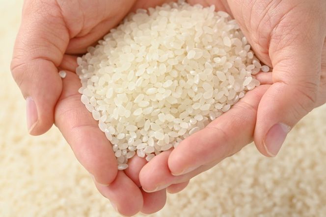 えびちゃんちの米　さくら市葛城産　5Kg  ≪令和6年産 米 お米 白米 ご飯 栃木県産 送料無料≫