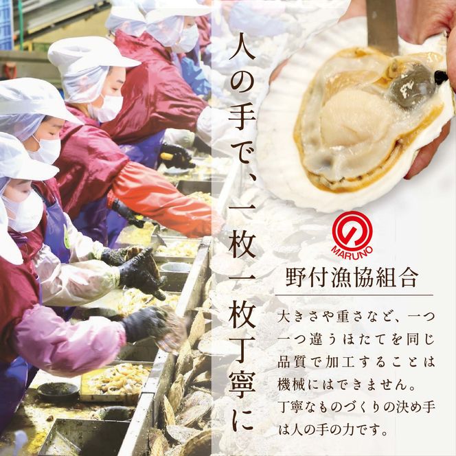 【毎月11ヶ月定期便】北海道 野付産 漁協直送 冷凍ホタテ 貝柱大粒ホタテ500ｇ【be018-0055-100-11】